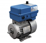 Motor